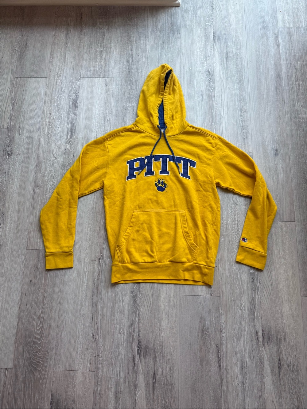 University of Pittsburgh Champion Hooded Sweatshirt